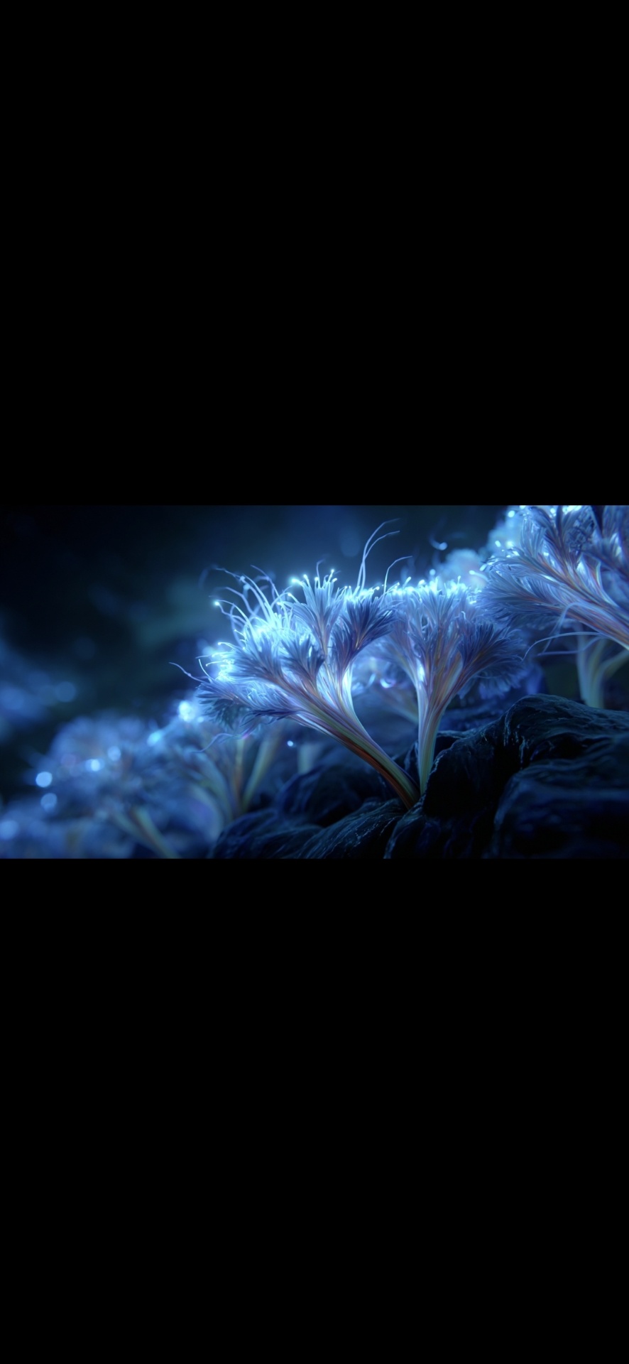 Proyecto visual Biolumina